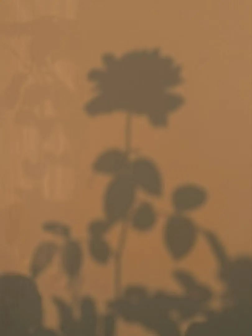 640.jpg